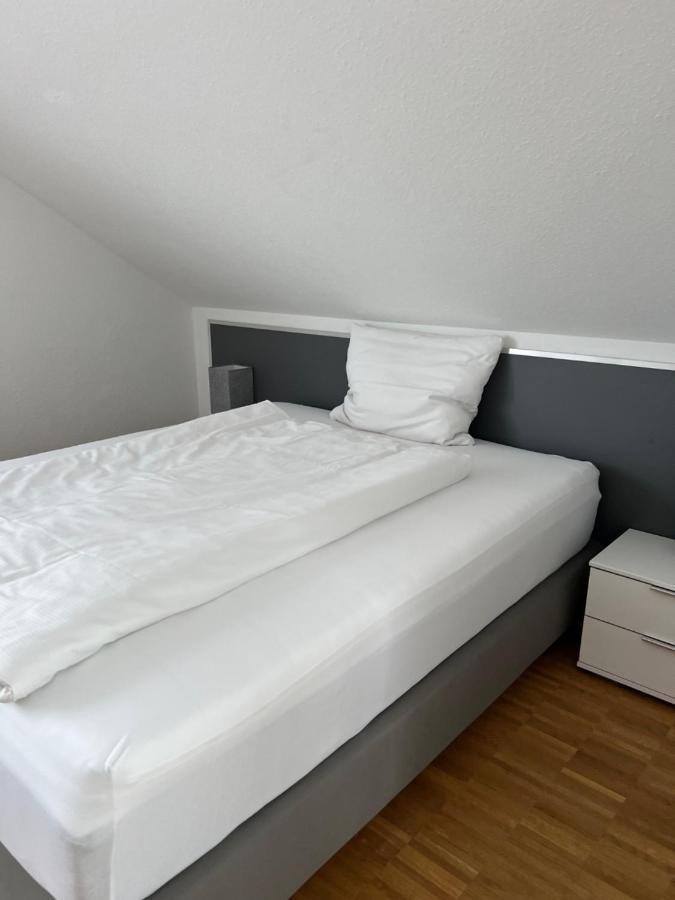 New Age Boardinghaus Bad Wimpfen Aparthotel Kültér fotó